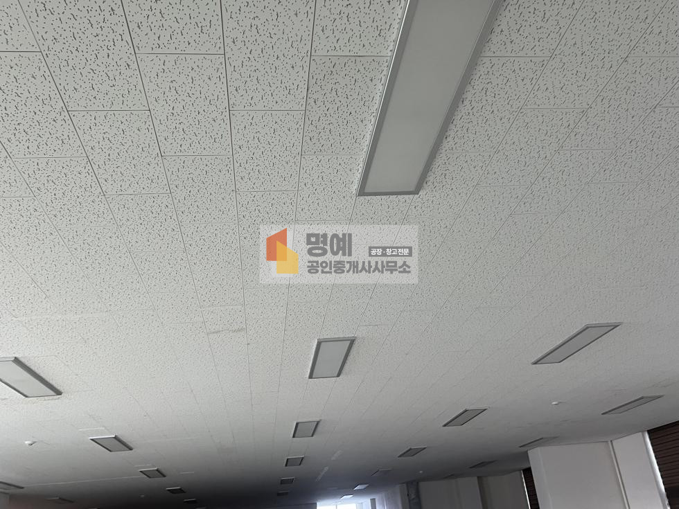 천장