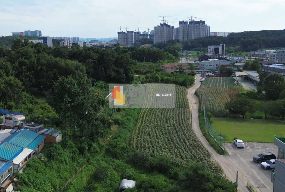 경기 평택시 장안동 급매 470평평당300만원.브레인시티 투자 가능 매매 매물번호 10133 사진 4